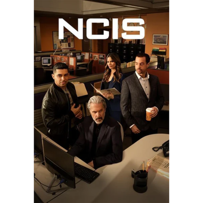 NCIS Season 22 (DVD)