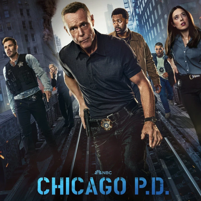Chicago P.D: Season 12 (DVD)