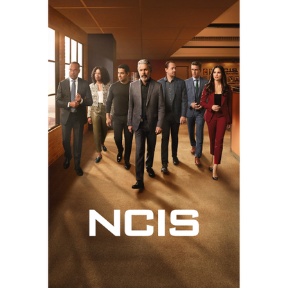 NCIS Season 22 (DVD)