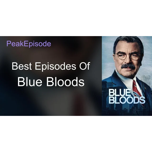 Blue Bloods: The Final Season (The Fourteenth Season)