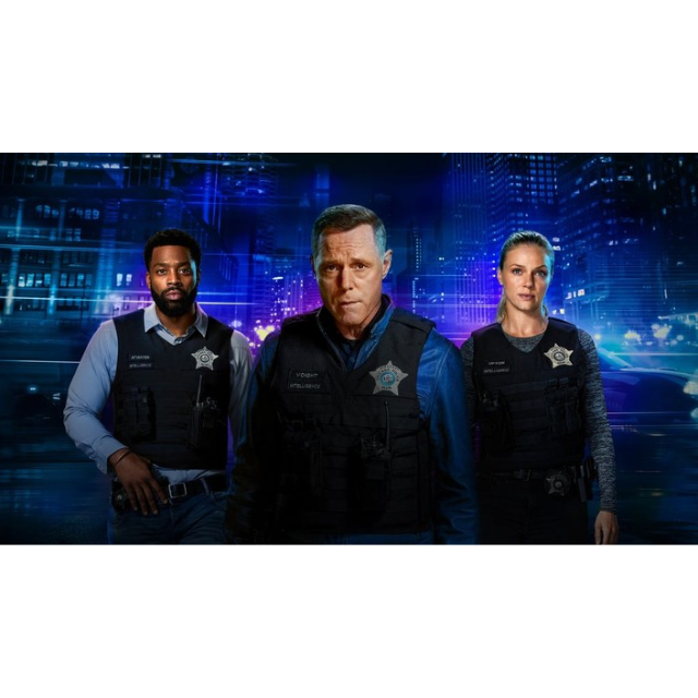 Chicago P.D: Season Eleven (DVD)